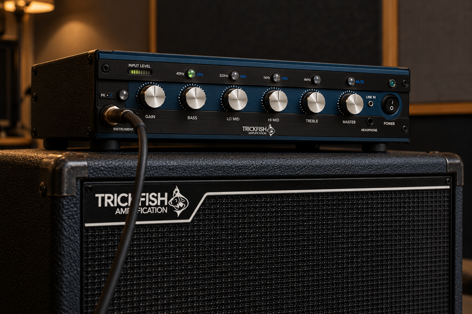 How to Choose a Bass Amp and Cabinet: Power, Ohms & Gig Size