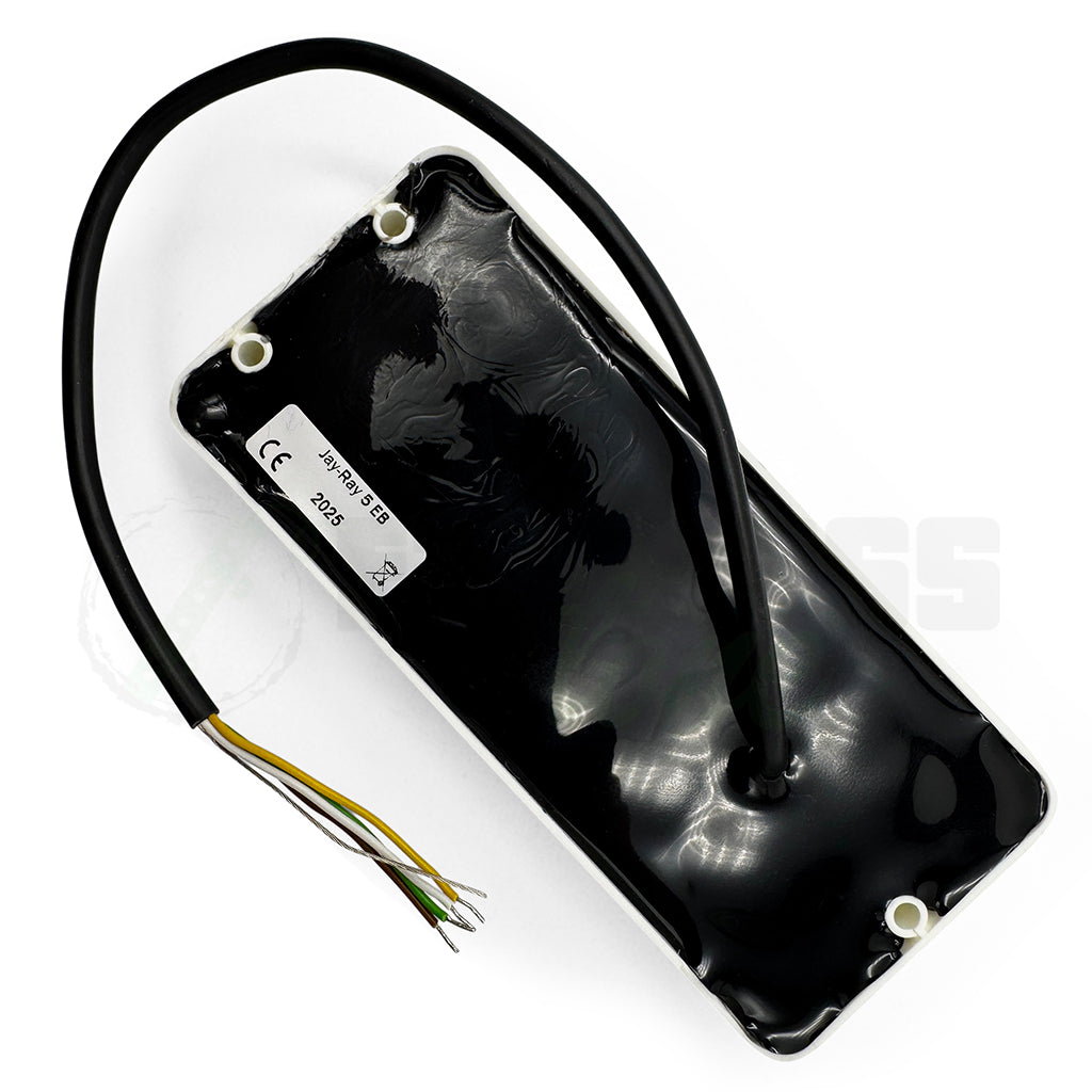 top back view of the Delano Jay-Ray 5 Dual Coil Music Man® Bass Pickup showing the 4 conductor wiring