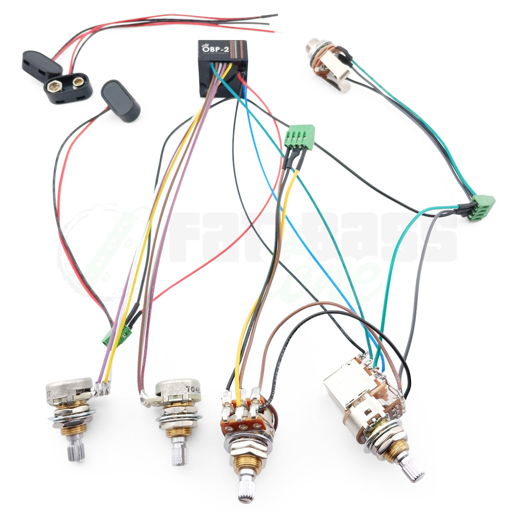 Aguilar OBP-2 Bass Preamp Custom Kit with a Volume Pushpull for active passive, blend, treble, bass configuration
