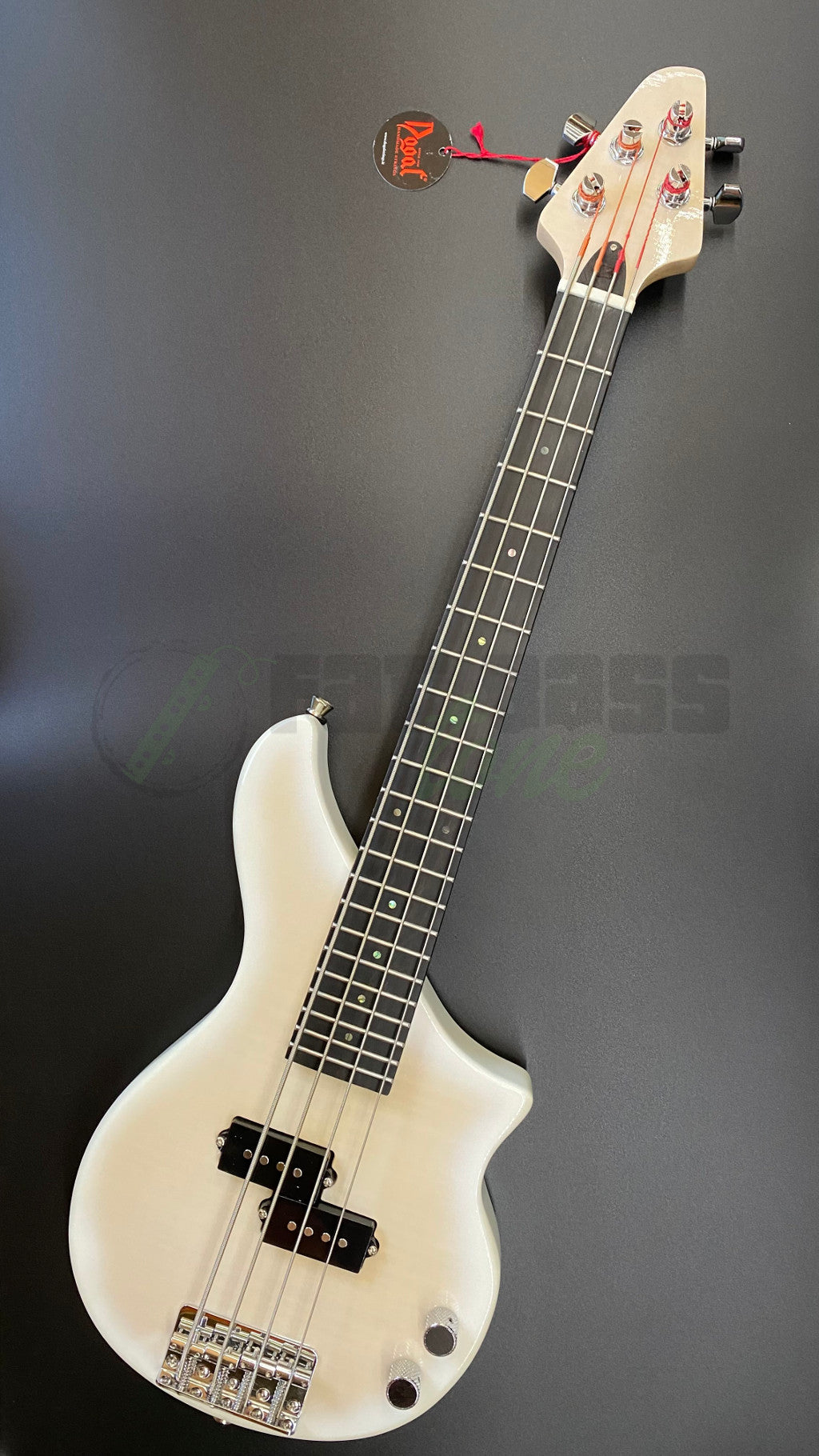 view of full front of Tiny Boy bass with white finish