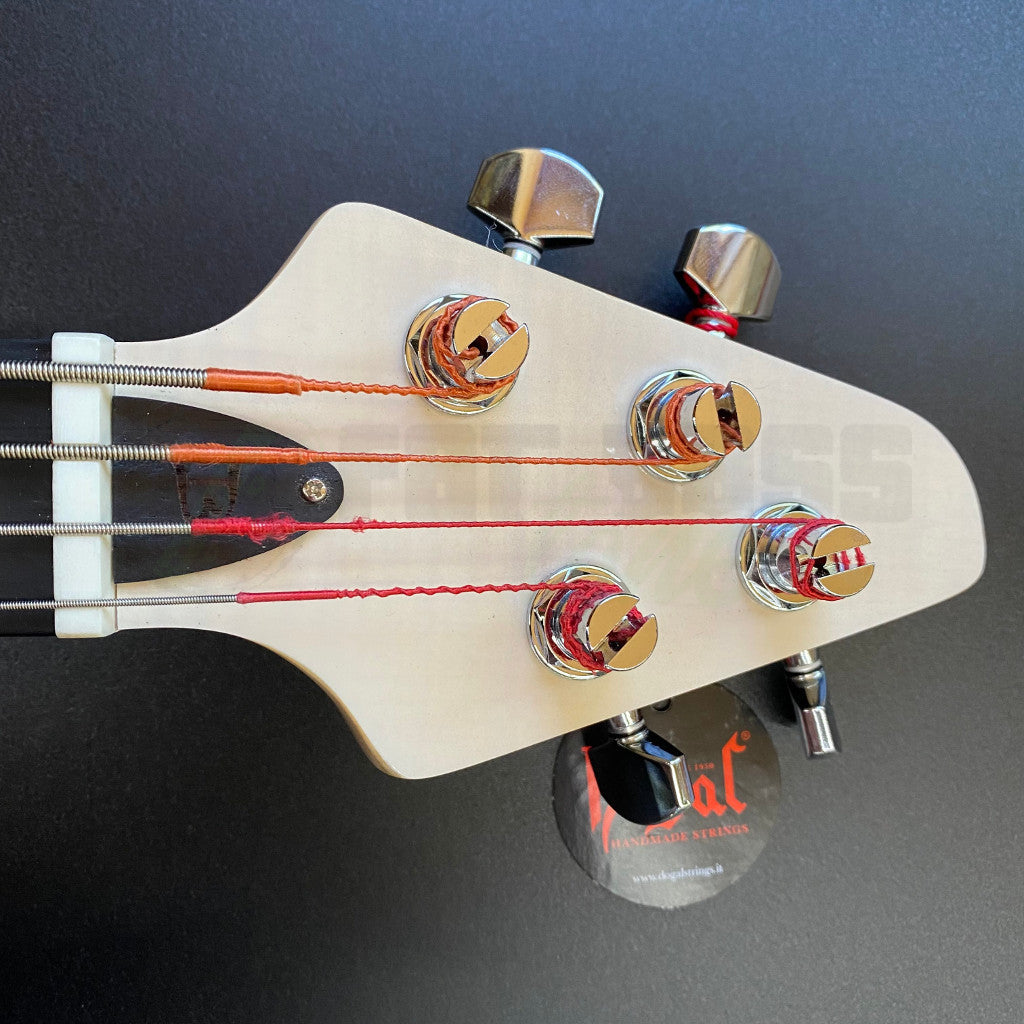 view of front of Tiny Boy bass headstock
